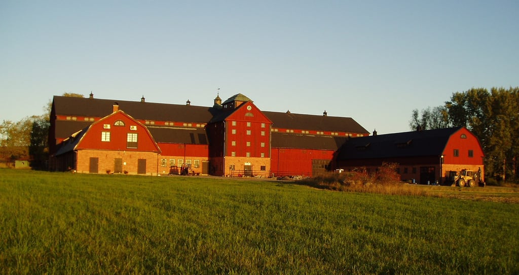 kalvandö farm 2