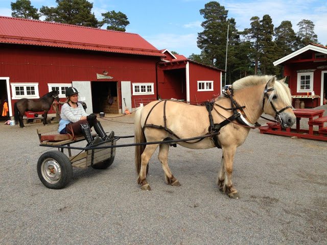 nysveds gård