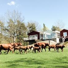 skeviks farm 2