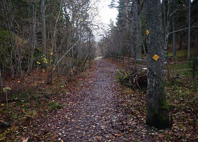 gottholmarundan trail