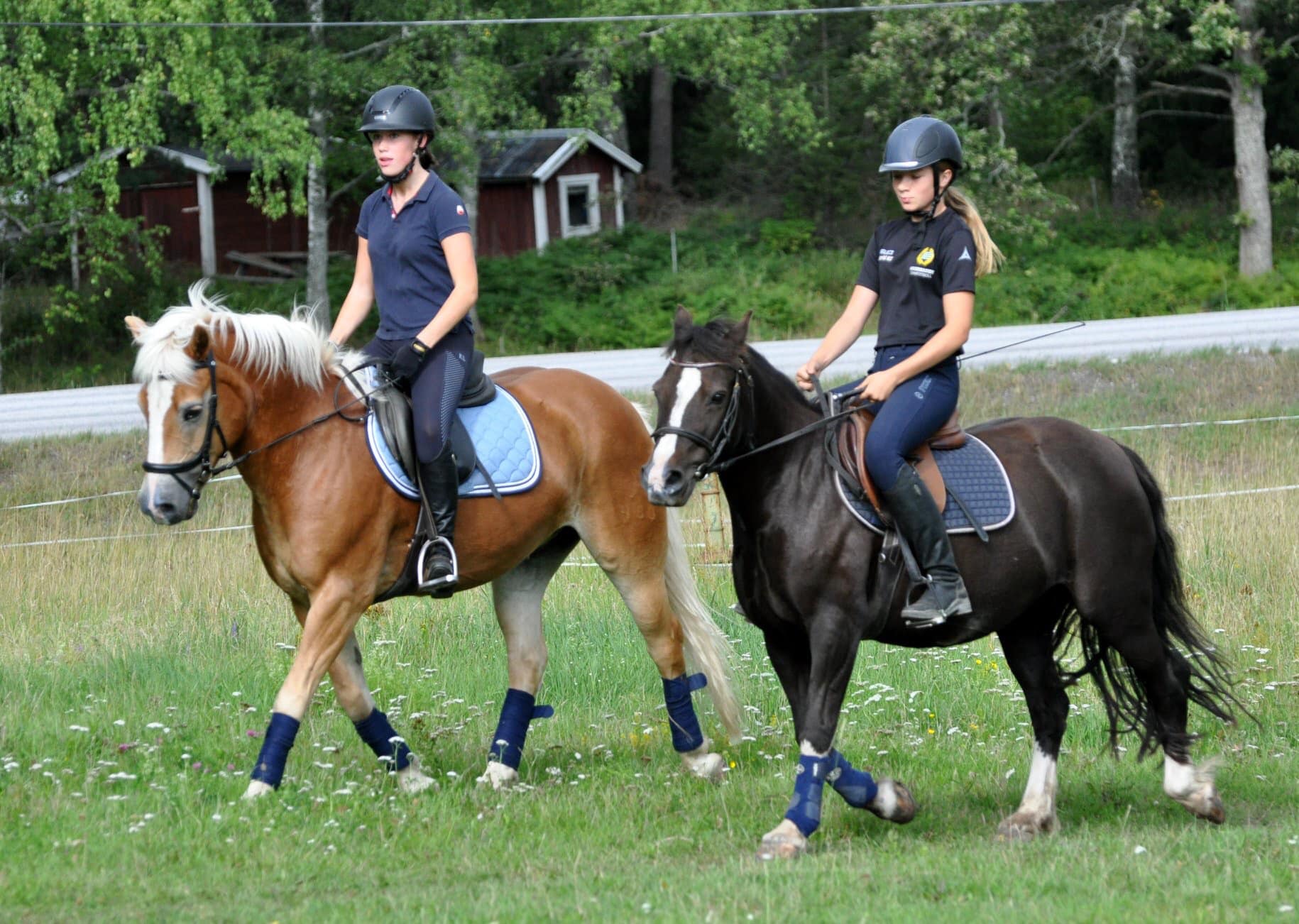 två hästar och två ryttare på nysveds gård